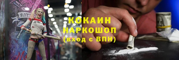 apvp Богородицк