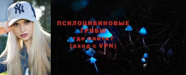 стафф Богданович