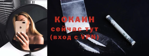 стафф Богданович