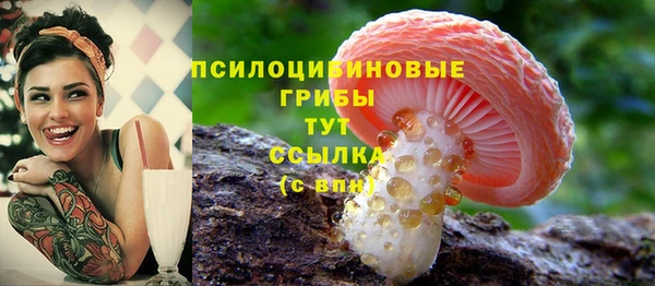 стафф Богданович