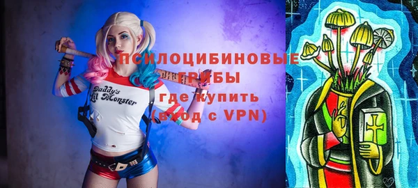 apvp Богородицк