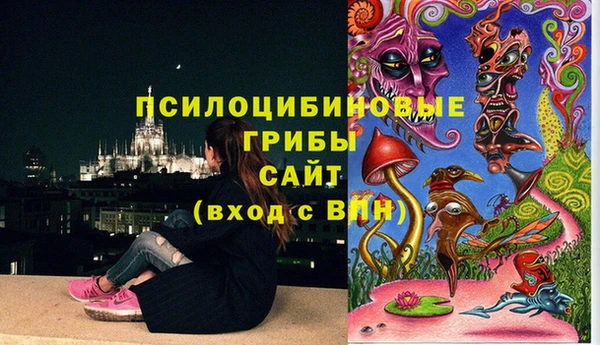 apvp Богородицк