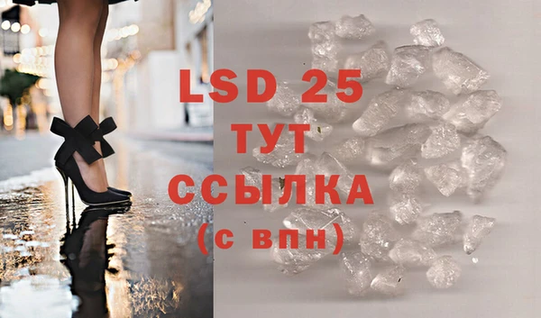 стафф Богданович