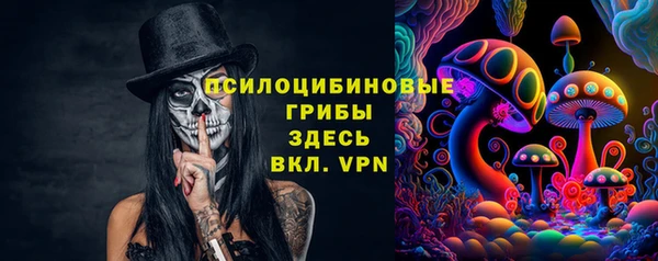 стафф Богданович