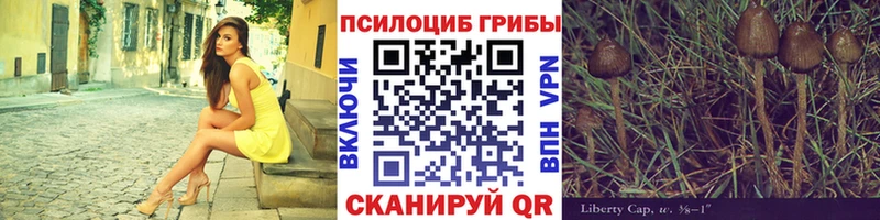 Галлюциногенные грибы GOLDEN TEACHER  Острогожск 